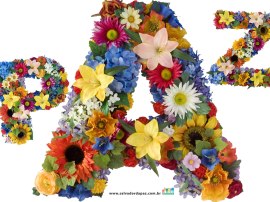 paz-flores